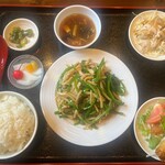 Taiwanryouri Hokkai Rou - 青椒肉絲
