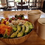 SWEN SALAD WORKS - 