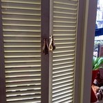 TASTE THE WORLD - 2014年2月11日今回はベルギー