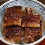 うな富士 - うな丼。これで「少なめ」。この下にも鰻が2段で隠れてます！