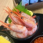 札幌海鮮丼専門店 すしどんぶり - えび