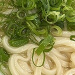 うどん 一福 - 青ネギも美味しい