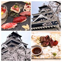 菅乃屋 銀座通り店 - 熊本城の桜とさくら（馬）