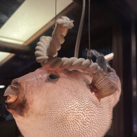 いけす無門 新宿 - 