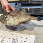 魚屋 Fish.K - このカワハギを刺身にしてもらい