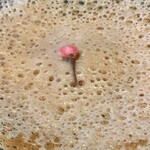 ワインとスパイス小料理 Dal Mellow - お花見