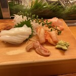 Wakabayashi - 赤貝とイカのお刺身
