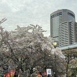 最強鮨居酒屋 やまのや - 