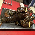 アーム・ドゥ・ギャルソン - 