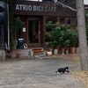 ATRIO CAFE