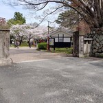 Fukushimaya - おまけ：桜が満開の豊橋公園 202404