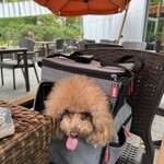 クッチーナ デル カンポ - べぇ～って？