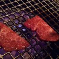 よろにく - ツチノコ