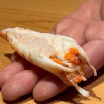 鮨 不二楼 - 白エビを忍ばせた車海老