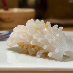 鮨 不二楼 - 酢橘と柚が香る鹿子造りの白烏賊