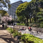 スターバックス・コーヒー - 千鳥ヶ淵あたりの風景。このときの桜は、三分咲きといったところでしょうか。