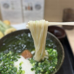 Honkakuha Hakata Udon Hasida Taikiti - ツルモチやわの博多うどんの風味と食感は格別