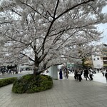 トラットリア グランボッカ - 