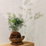 江戸そば マルノ - 内観