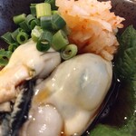 Tachinomi Sakaba Nanatsubo - 日替わりオススメ　牡蠣ポン酢