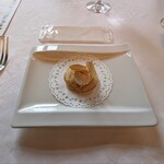 マダム・トキ - アミューズブッシュ