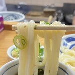 手打うどん はりや - うどん(かしわざるうどん)