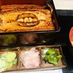 Unagi No Naruse - 