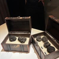 マルゴット エ バッチャーレ - 