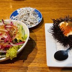 湘南バルはなたれ The Fish and Oysters - 