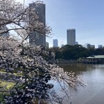 中島の御茶屋 - 