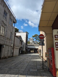 Mochi Sou - お店横から見える大垣城。