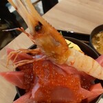 札幌海鮮丼専門店 すしどんぶり - 