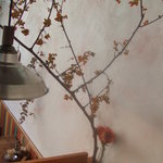 クルミドコーヒー - 