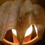 Ginkakuji Kai - 大きなしゃこ貝のランプ