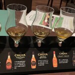 The CHOYA 銀座 BAR - 