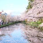 駅弁屋 - 朝6時の弘前公園の外壕の満開の桜