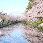 Ekibenya - 朝6時の弘前公園の外壕の満開の桜