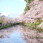 Ekibenya - 朝6時の弘前公園の外壕の満開の桜