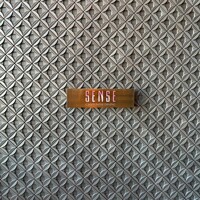 広東料理 センス - 