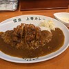 福島上等カレー - チキン南蛮カレー