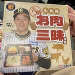 HANSHIN KOSHIEN STADIUM - 