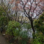 梅の花 町田店 - 