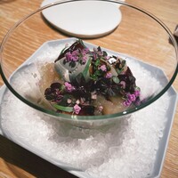 マンサルヴァ - 