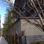 ラ・ロカンダ - ホテルの周りは、竹が植えられていました。