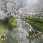 Kawagoe Jinrikiya - 桜の名所を教えてもらったお店の人に感謝。