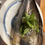 福井割烹 望月 - 