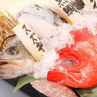 Fresh fish♪ We fillet and serve it to you on the spot