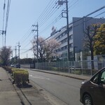 キッチン ブルー グローブ - その通り道の桜は、散りぎみでした
