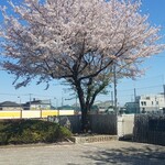 キッチン ブルー グローブ - 更に角度を変えて