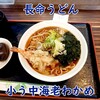 長命うどん千音寺店 - 小う中海老ワカメ